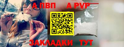 твердый Кингисепп