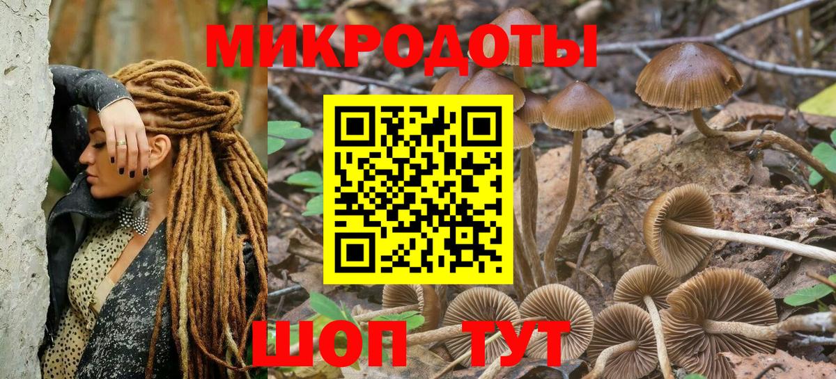 Псилоцибиновые грибы Psilocybine cubensis  Вход с VPN  Коряжма 